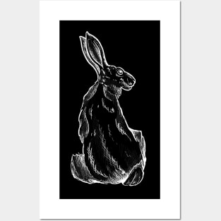 Hare 2 Posters and Art